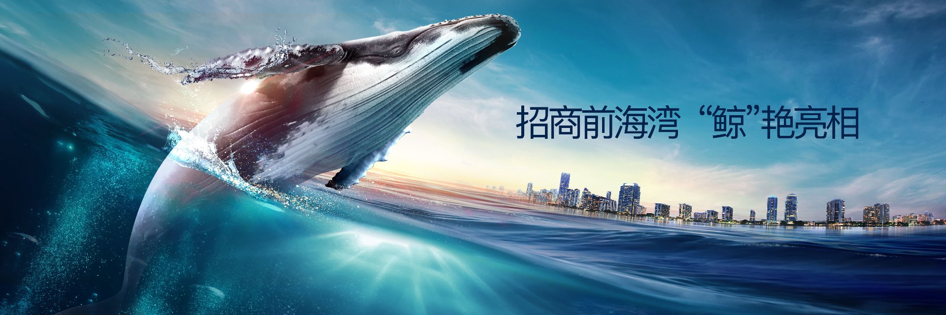 鲸熹网络科技